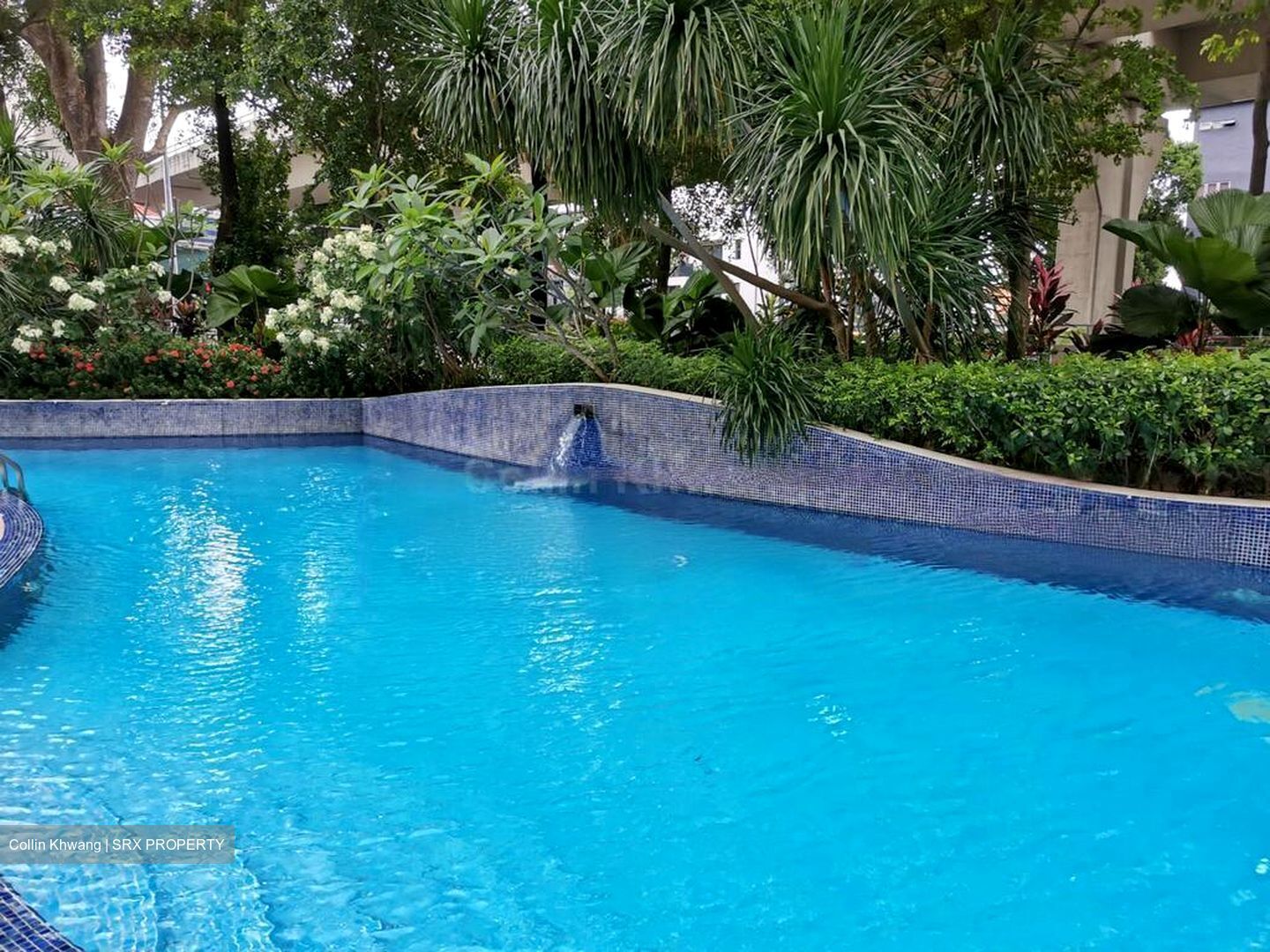 The Sunshine (D19), Apartment #460955301